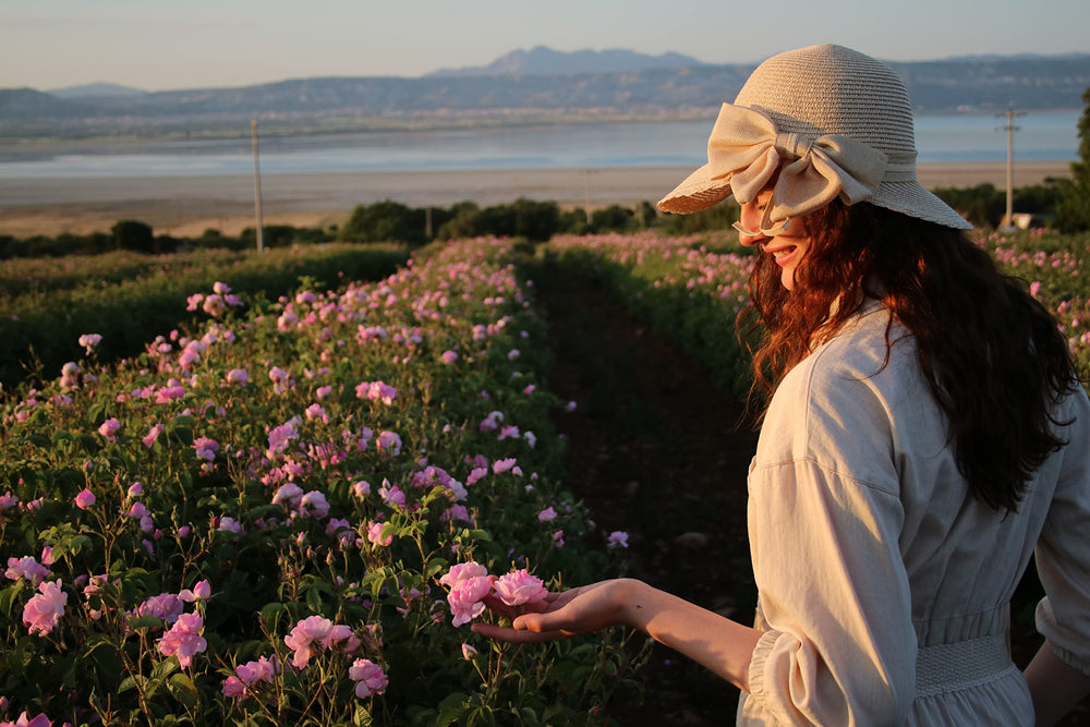 Rosense Isparta roses highlight natural fragrance and heritage