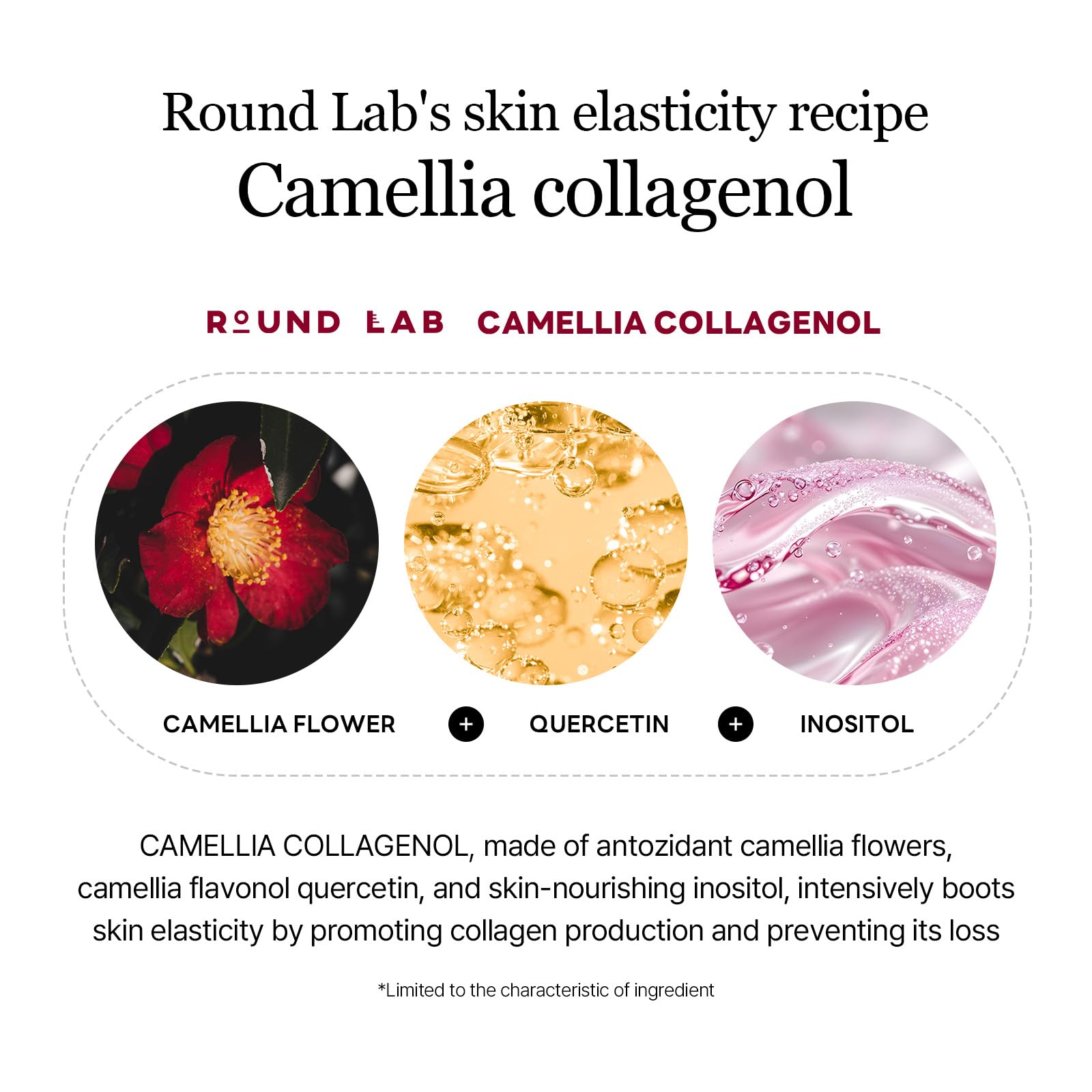 ROUND LAB camellia deep collagen V lifting mask soft-fit hugging the jawline.