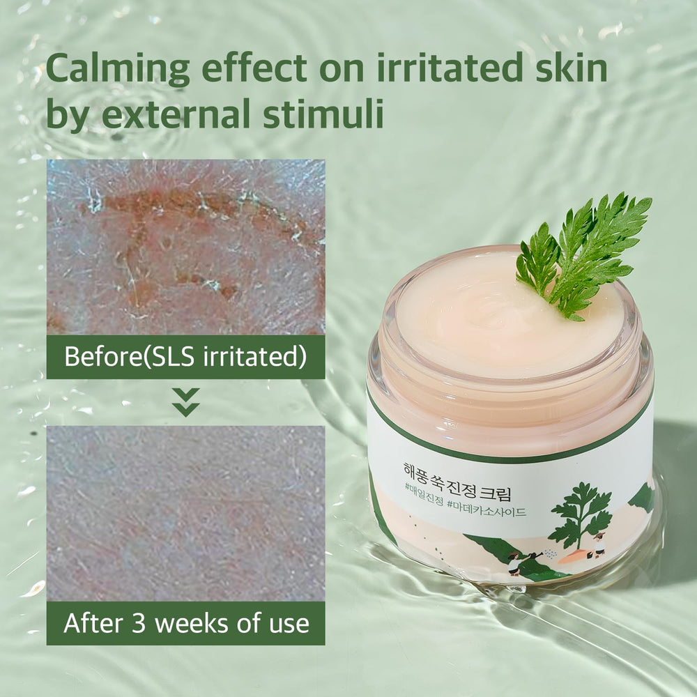 ROUND LAB Mugwort Calming Cream mugwort extract detail highlights calming botanicals