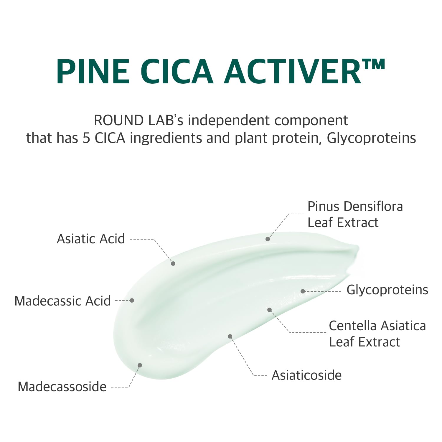 ROUND LAB Pine Calming Cica Cream on clean face delivering lightweight hydration