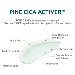 ROUND LAB Pine Calming Cica Cream on clean face delivering lightweight hydration