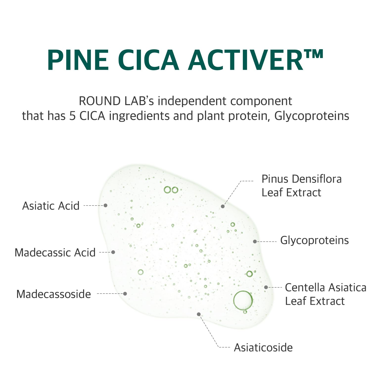 ROUND LAB Pine Calming Cica Pad being applied to face in soothing routine