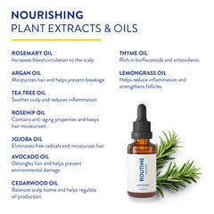 Routine Wellness rosemary-tea-tree-argan-oil-ingredients - natural oils for hair vitality.