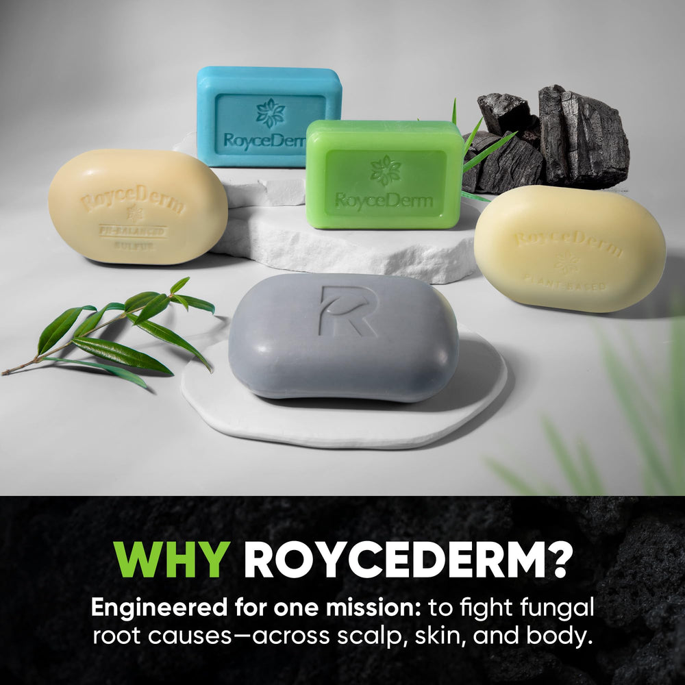 RoyceDerm branding shelf image emphasizing spa-like plant-based actives