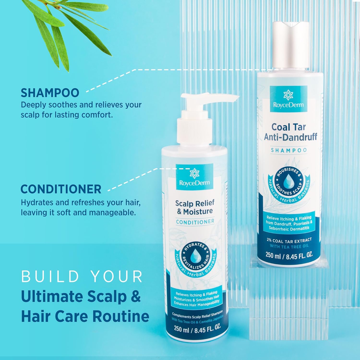 RoyceDerm Coal Tar Shampoo dermatologist-trusted formula supports scalp comfort.