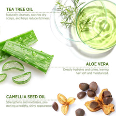 Roycederm Tea Tree Conditioner bottle front highlights hydrating scalp care.