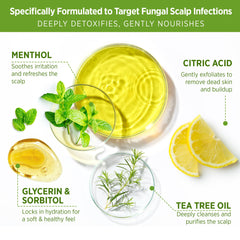 Roycederm Tea Tree Scalp Scrub texture in hand ready for pre-shampoo exfoliation.