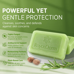 Roycederm Tea Tree Soap bar closeup showing natural tea tree oil for cleansing