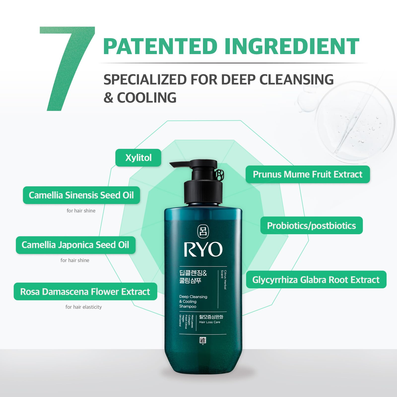 RYO Deep Cleansing Shampoo Korean-ginseng-ingredient frame for premium formula