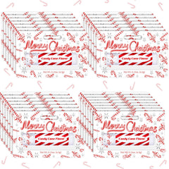 Sacubee Christmas Peppermint Lip Balm 25-pack front packaging, ideal for gifting and stocking stuffers.