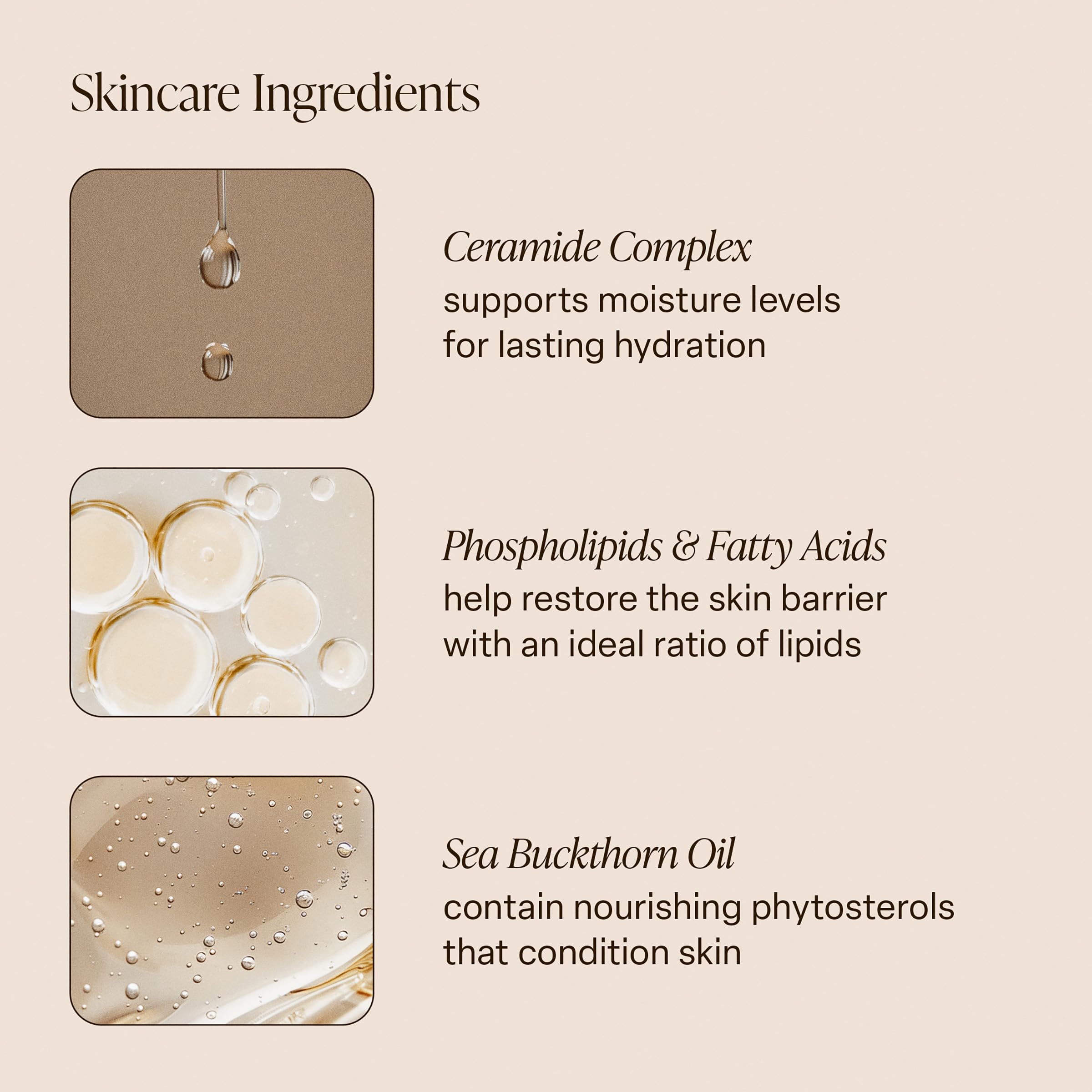 Coconut oil, shea butter, sea buckthorn illustration highlights nourishing ingredients