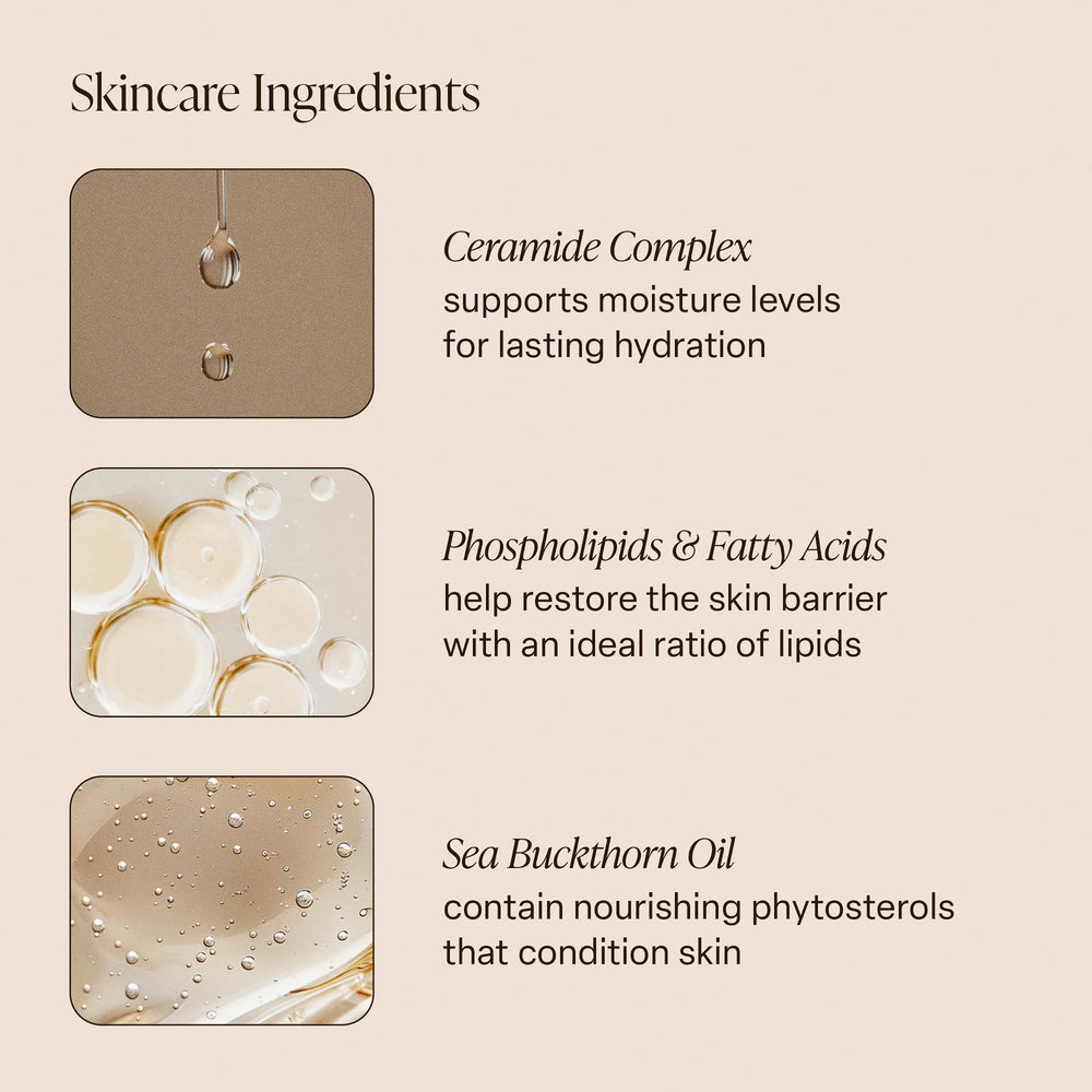 Coconut oil, shea butter, sea buckthorn illustration highlights nourishing ingredients
