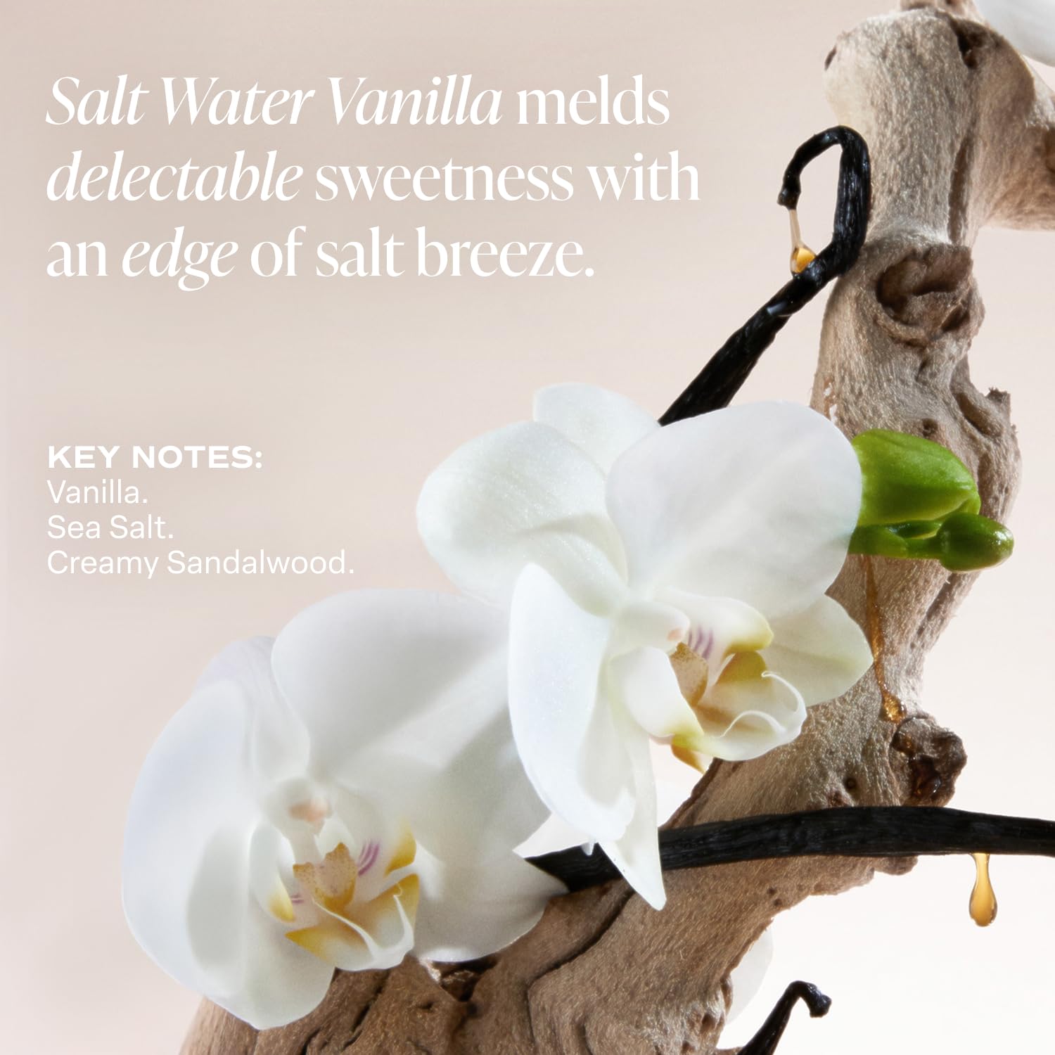 Vanilla scent swirl in Saltair Serum Deodorant bottle.