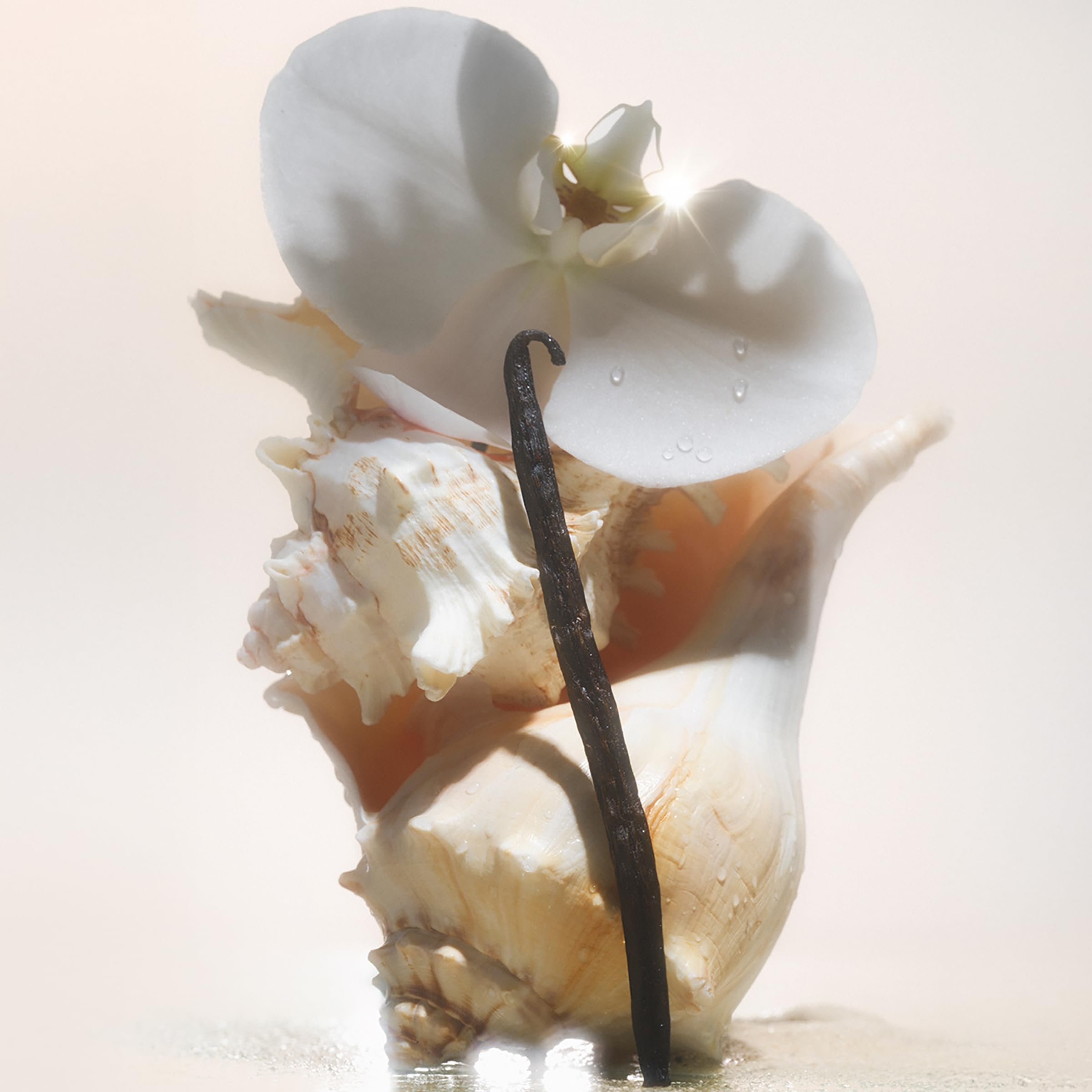 Saltair Shimmering Body Oil vanilla scent with sea salt notes.
