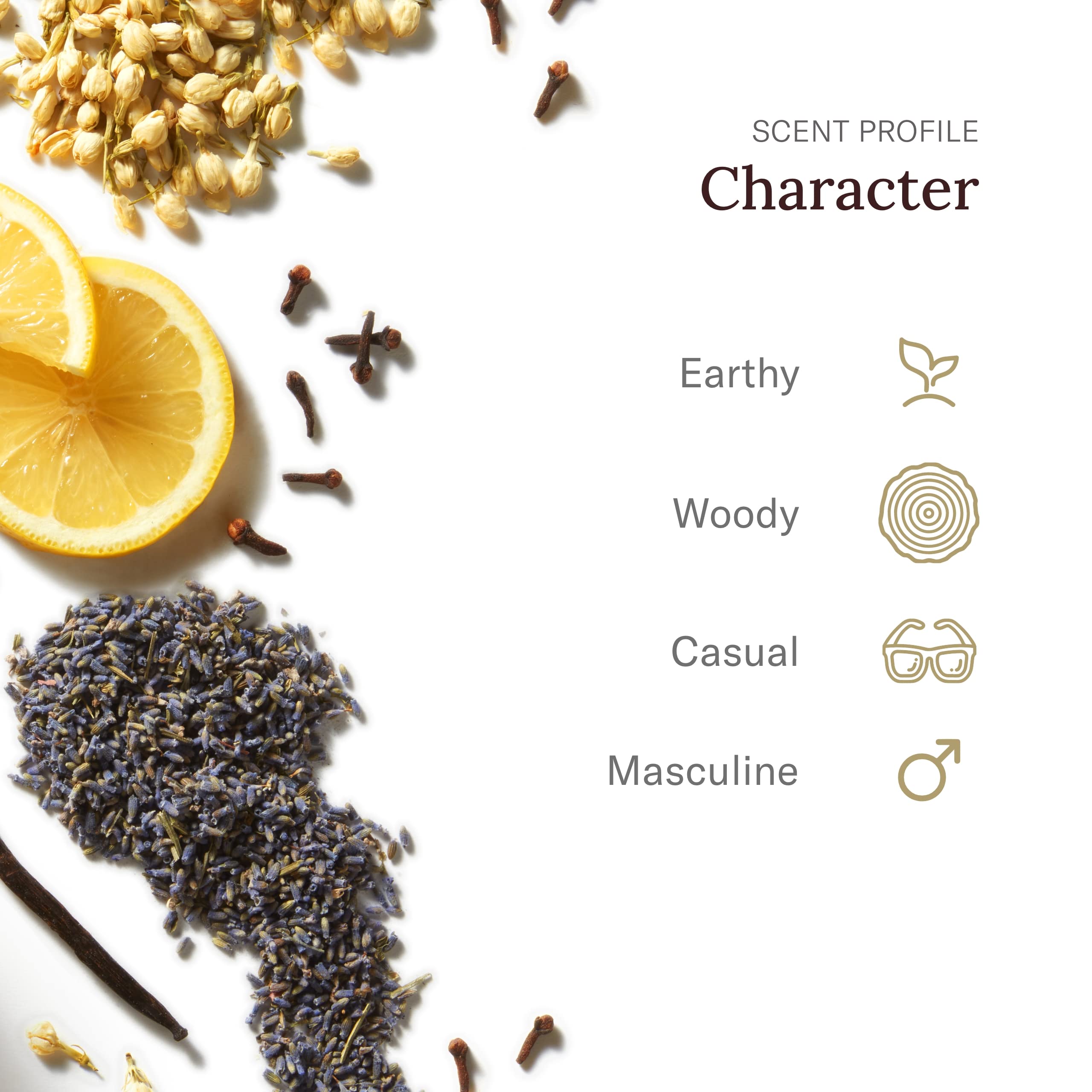 SCENT BEAUTY Stetson original scent notes with citrus and woody tones