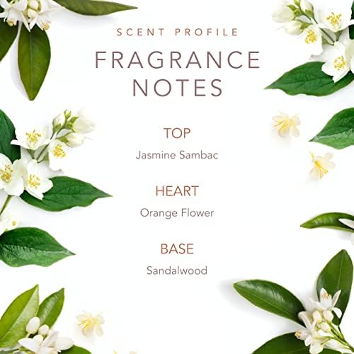 SCENT BEAUTY fragrance notes chart illustrating jasmine sambac, orange flower, sandalwood.