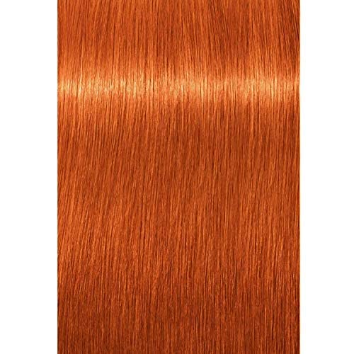 Schwarzkopf Igora Royal color swatches show copper-blonde range and depth