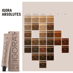 Schwarzkopf Igora Royal Absolutes 7-60 swatches show double-reflex tones for natural gray blending
