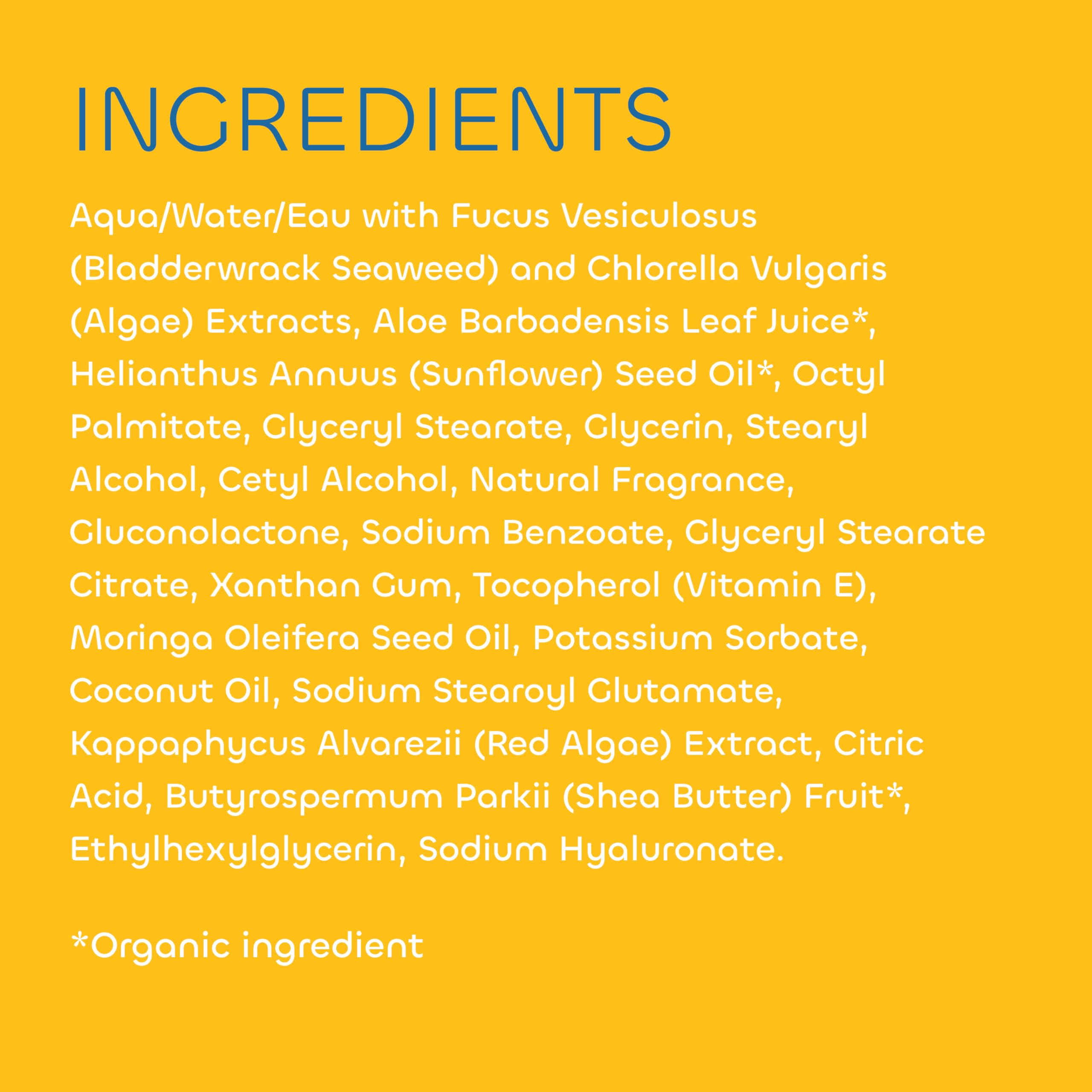 Scent visualization of tropical coconut notes and blossoms.