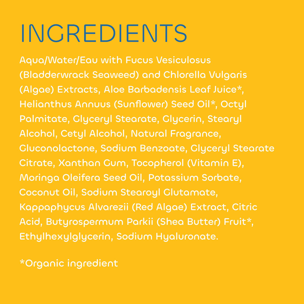 Scent visualization of tropical coconut notes and blossoms.