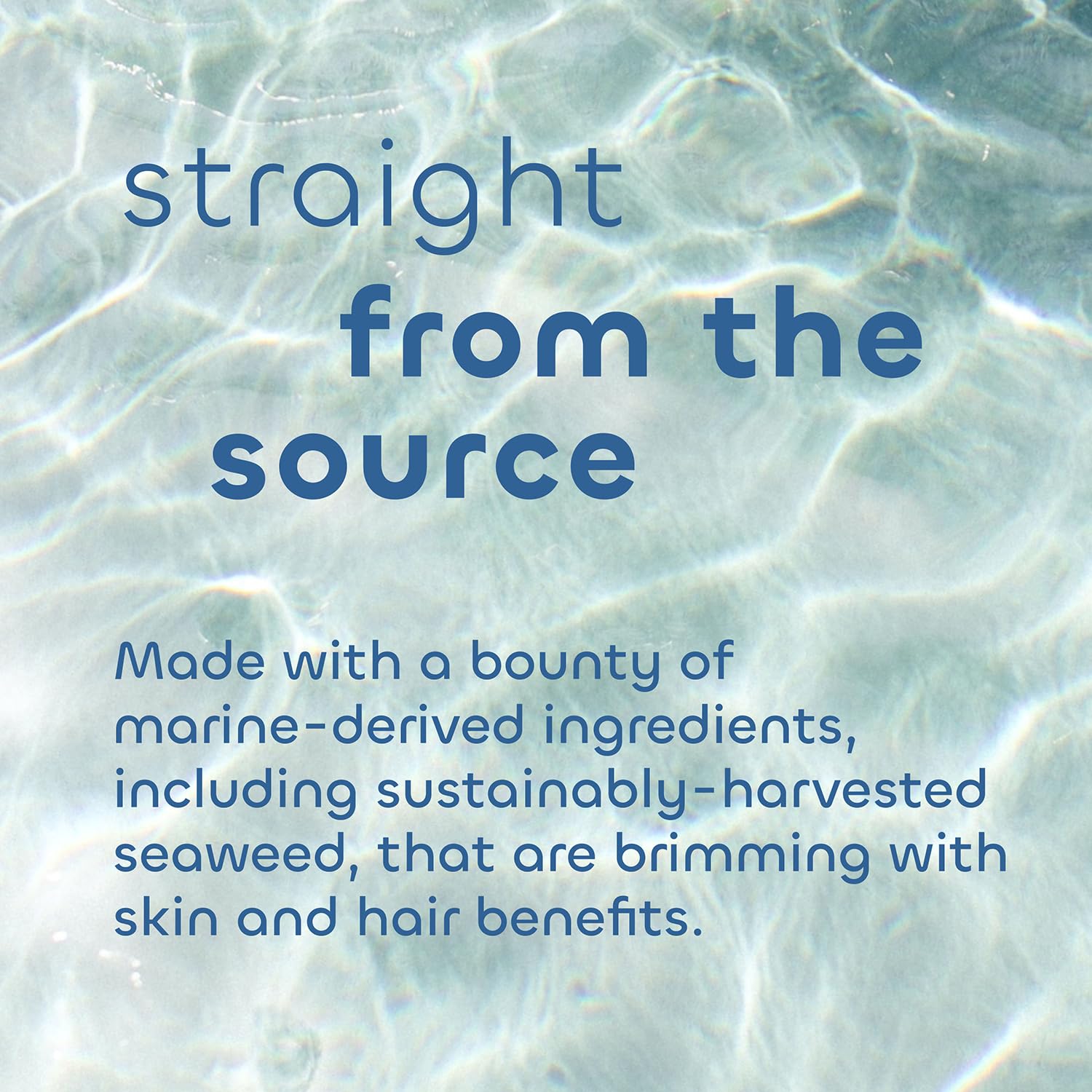 Seaweed Bath Co Detox Body Scrub close-up of natural ingredients including seaweed and mineral clay