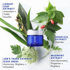 SEKKISEI Herbal Gel glow on skin highlights radiant, even-toned complexion.