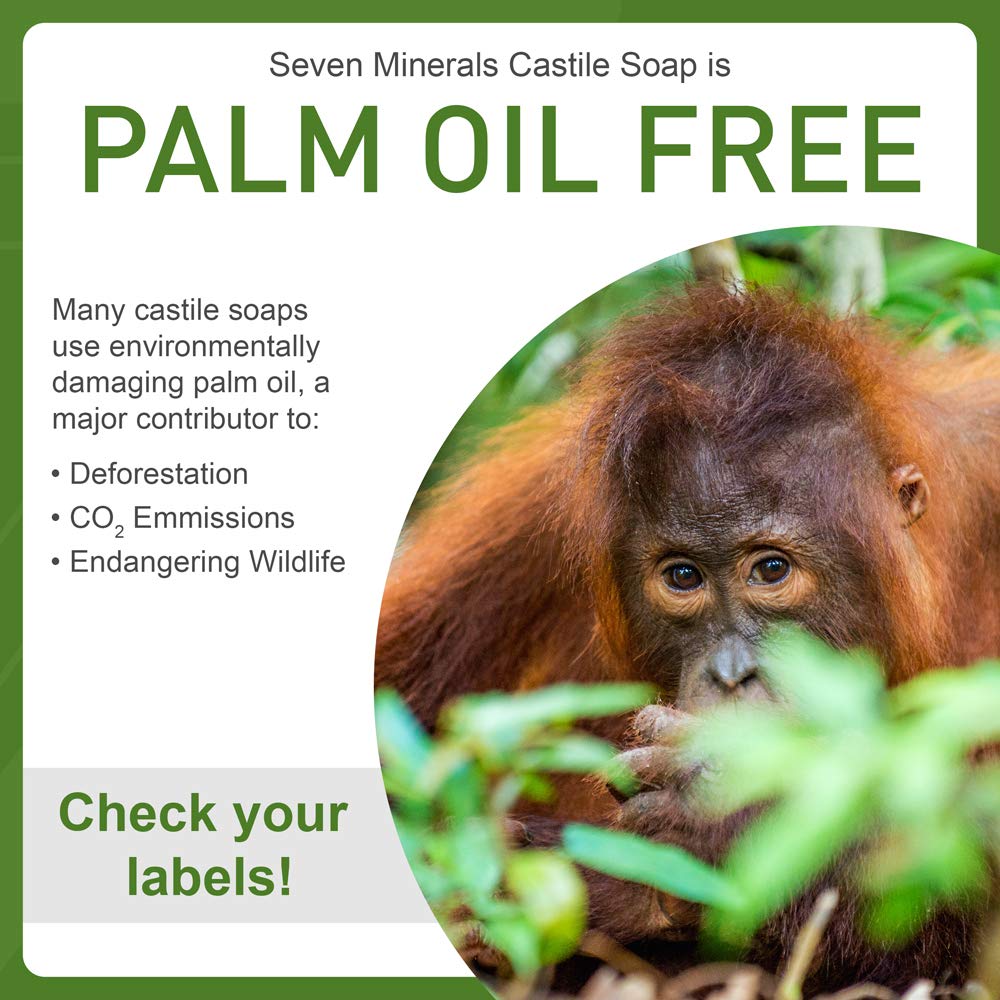 Seven Minerals Castile Soap box and bottle emphasize palm-free, eco-conscious formulation