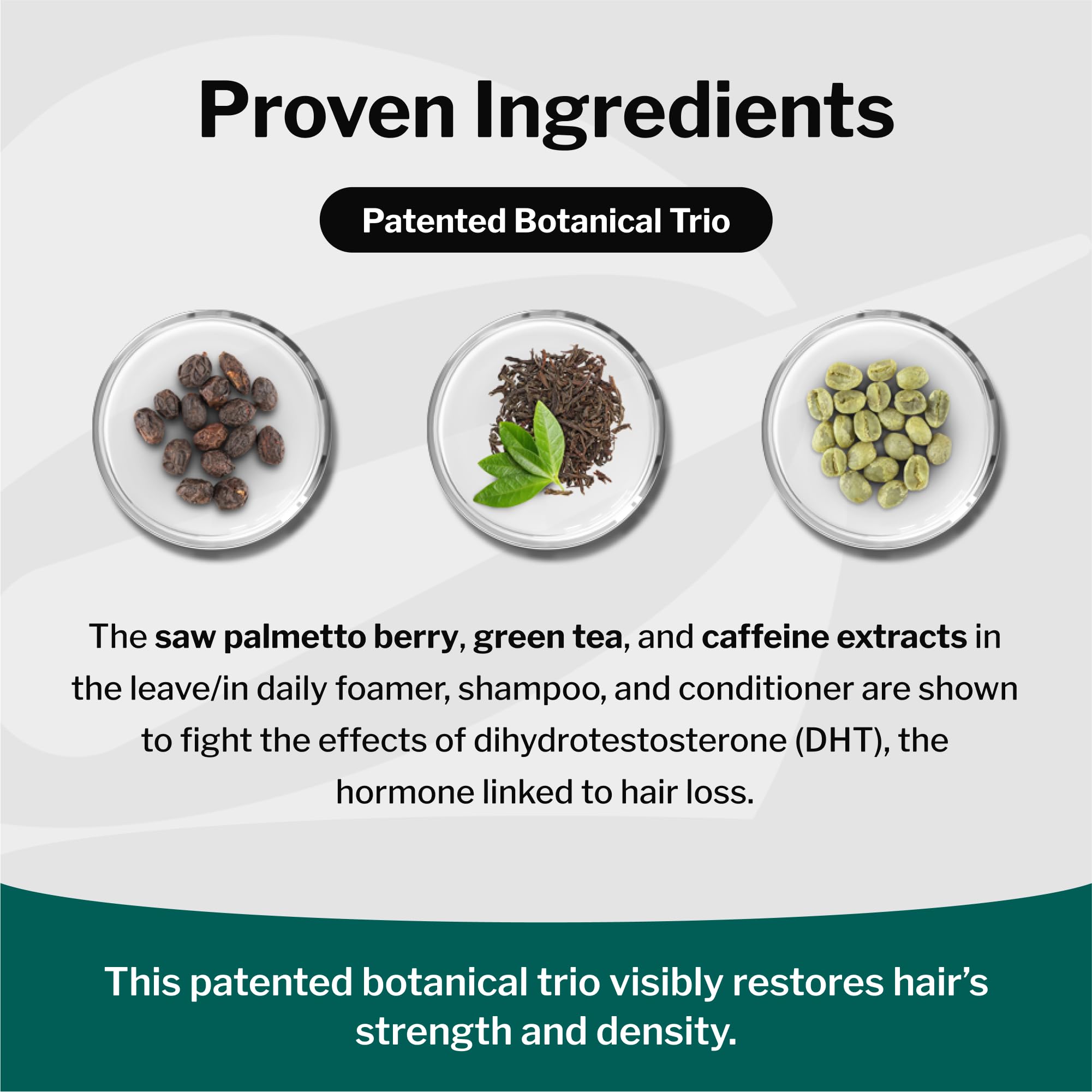 Shapiro MD Natural Hair Kit green tea ingredients support scalp vitality