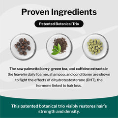 Shapiro MD Natural Hair Kit green tea ingredients support scalp vitality