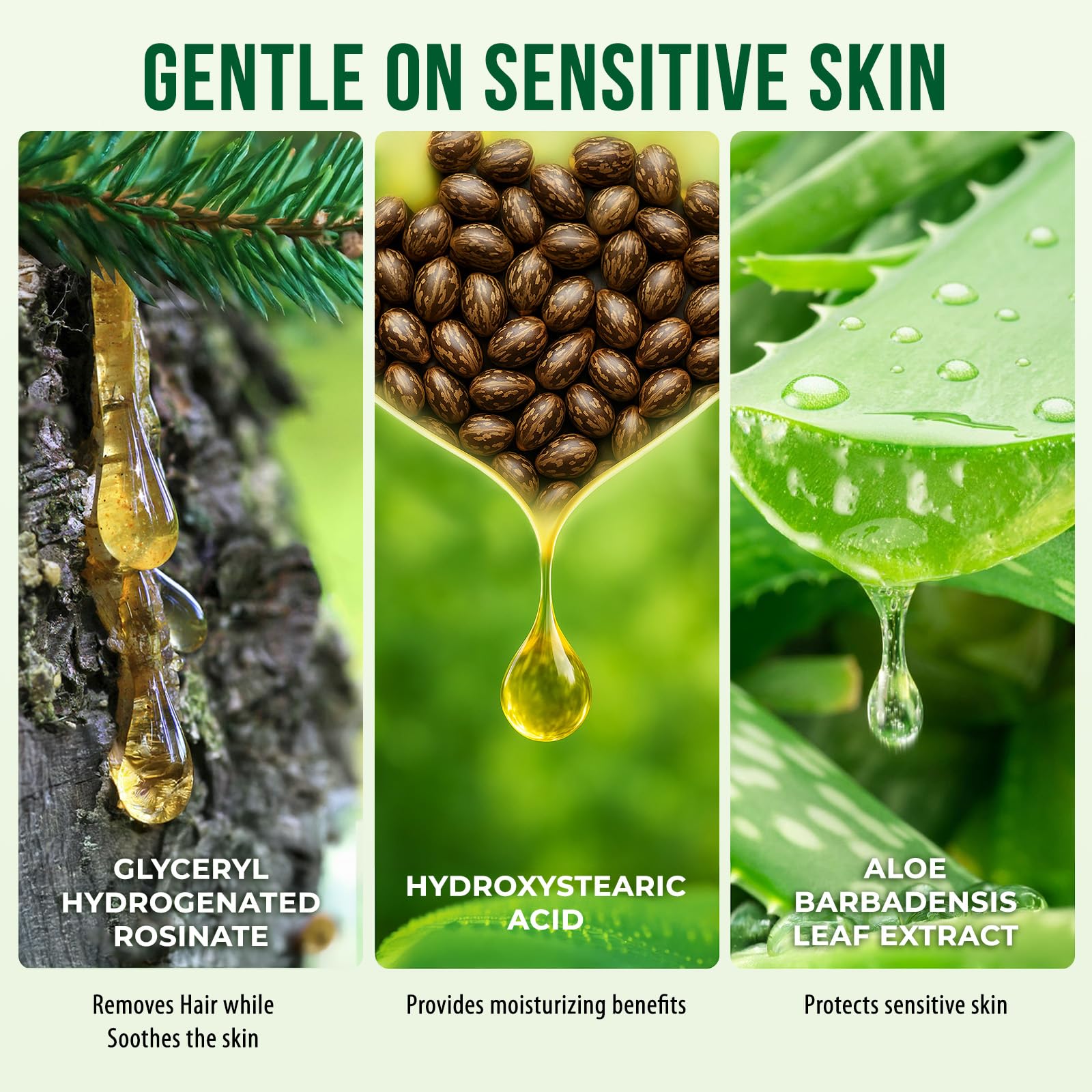 Sharmiz Aloe Vera-infused strips suggest soothing, skin-friendly waxing during routine sessions.