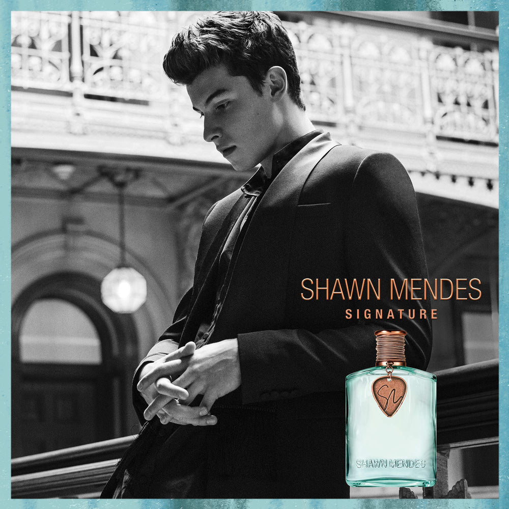 Shawn Mendes packaging with guitar-themed design suggests collector-worthy presentation