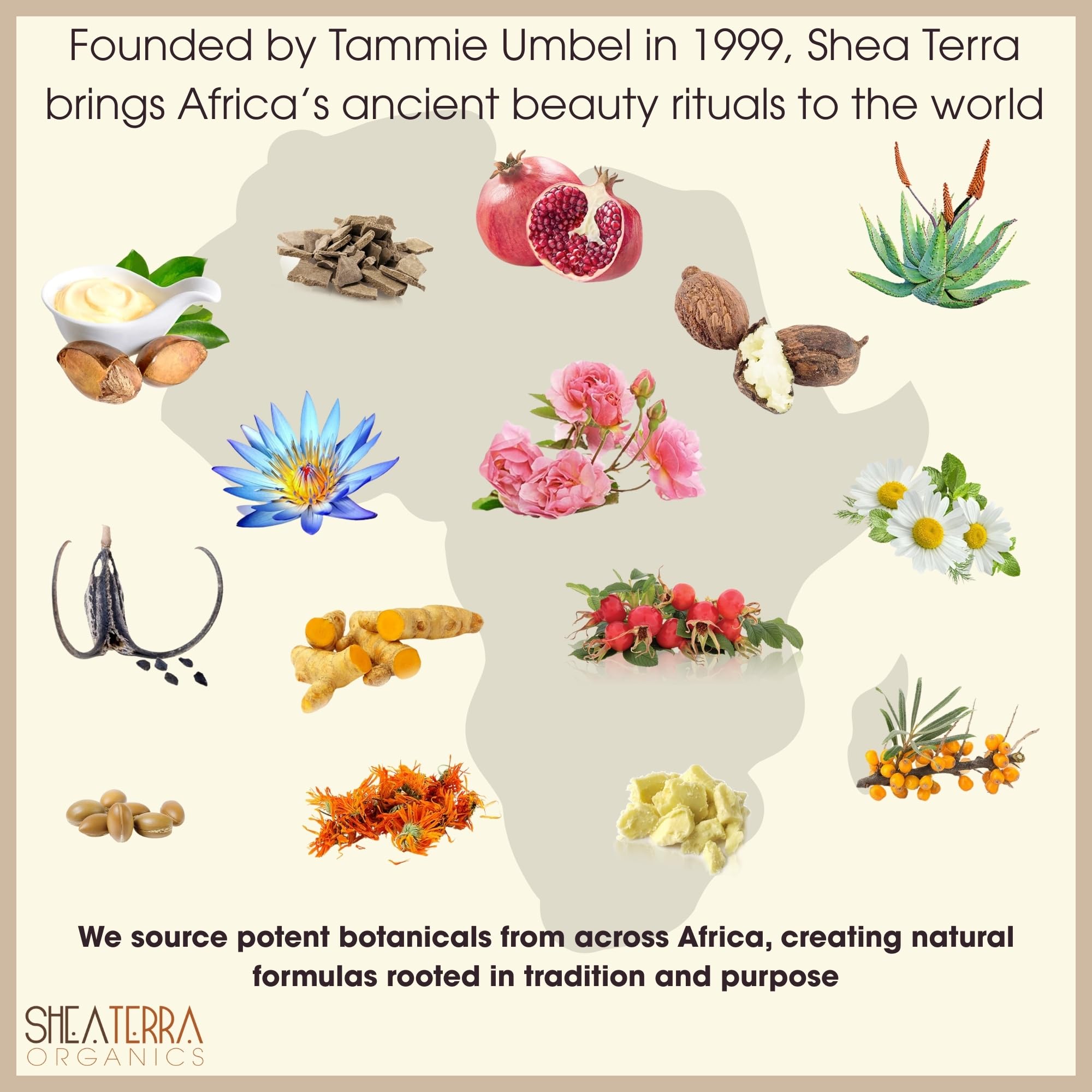 Shea Terra Egyptian Black Seed Oil pour showing versatile everyday use