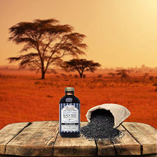 Shea Terra Egyptian Black Seed Oil skin and hair application on damp skin for moisture