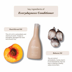 SHIBUI Everydayness Conditioner packaging communicates vegan, silicone-free formula for clean beauty routines.