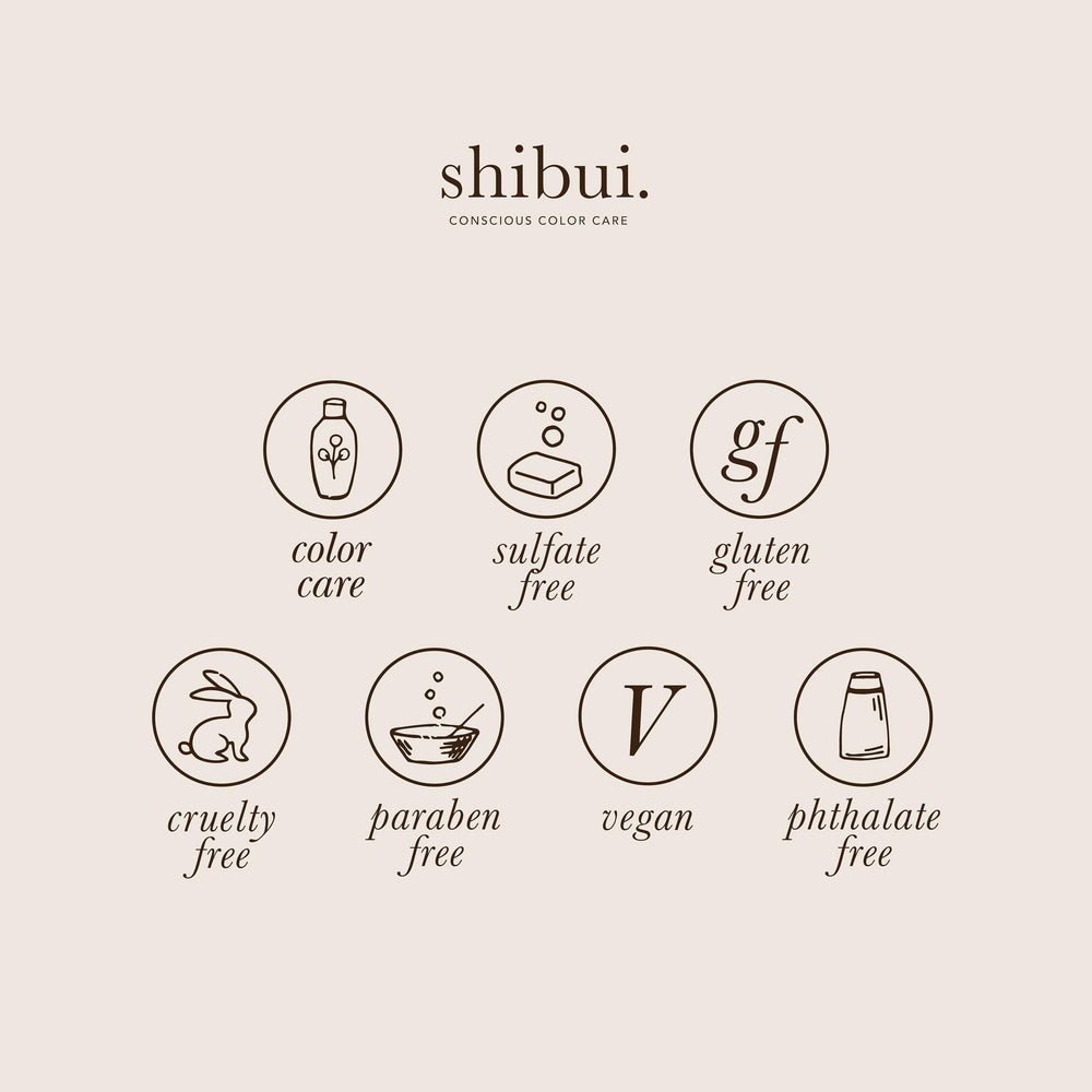 SHIBUI Everydayness Shampoo color-protection-ingredients showcases core 4 color care complex.