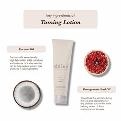 SHIBUI Taming Lotion shine closeup highlights luminous, long-lasting hydration for sleek strands.