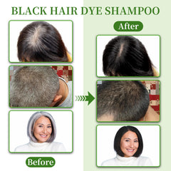 SHIHUANUO Ganoderma lucidum herbal formula nourishes roots and shine.