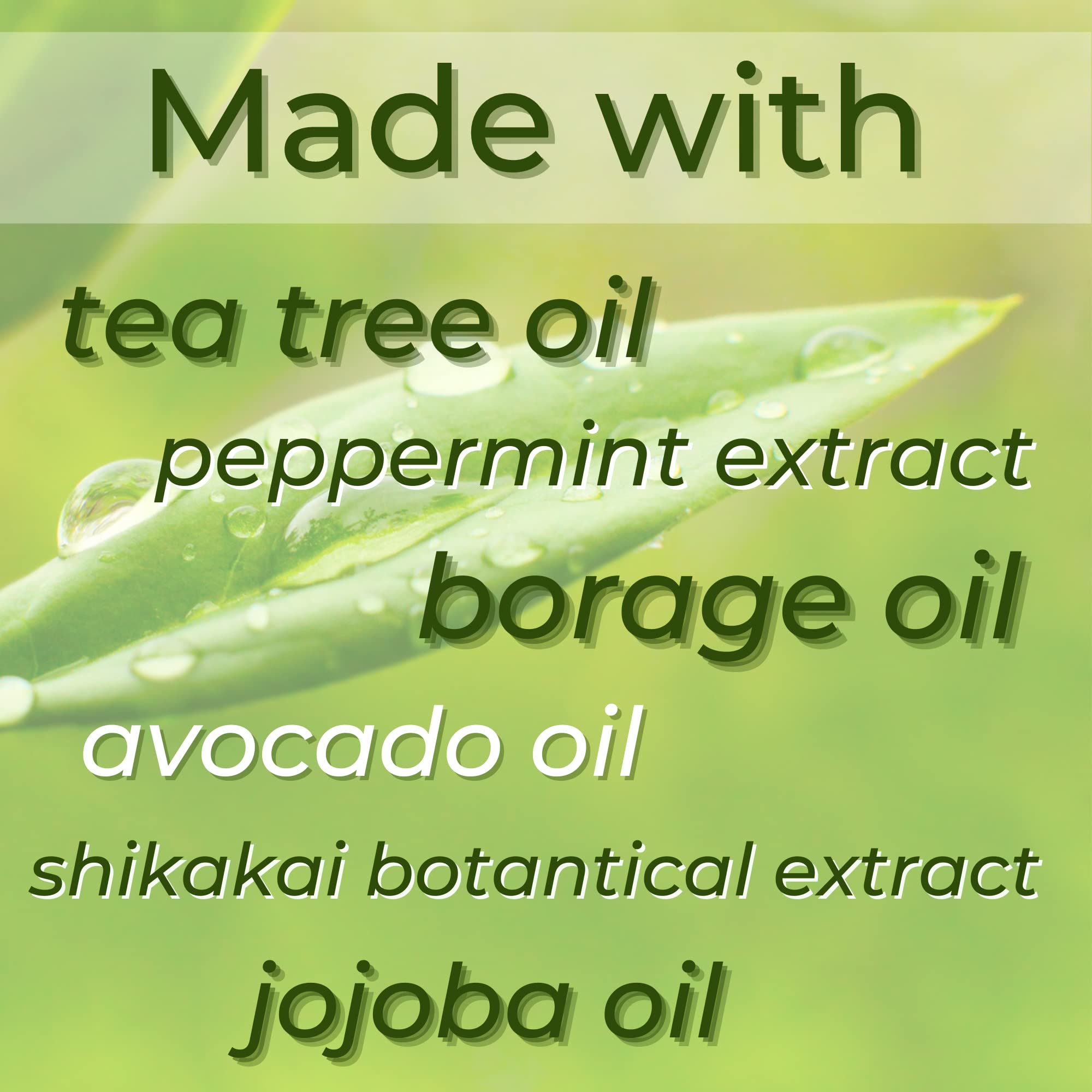 Creamy texture of ShiKai Tea Tree Conditioner shown in close-up