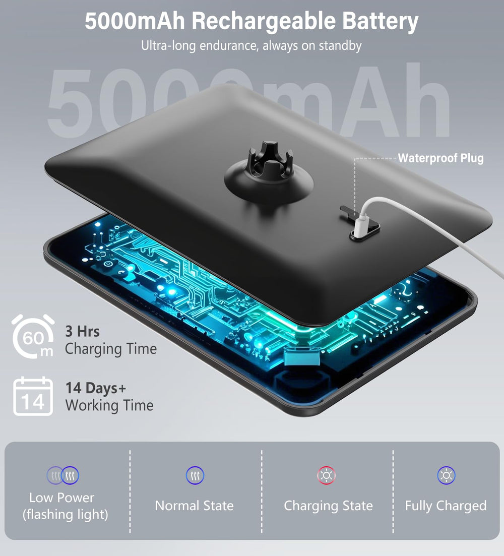 Shinowa mirror with 3 color lights for different tasks