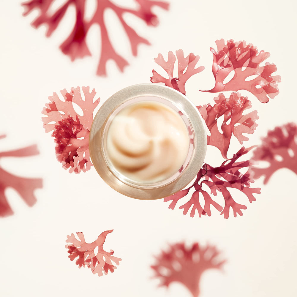 Shiseido Benefiance Wrinkle Smoothing Cream jar highlighted with turmeric-extract concept for elasticity.