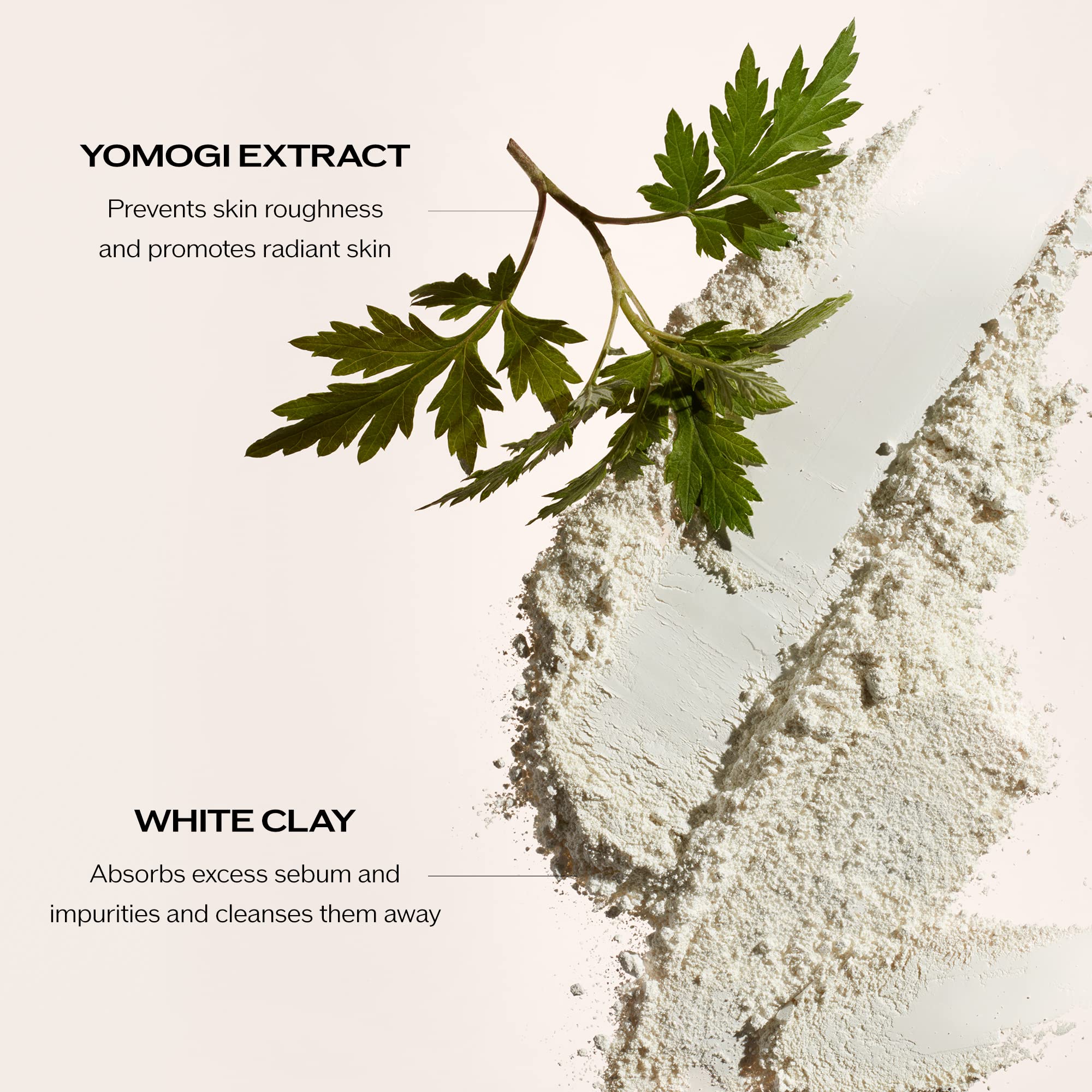 Shiseido Clarifying Cleansing Foam white clay highlights oil absorption for a refreshed complexion.