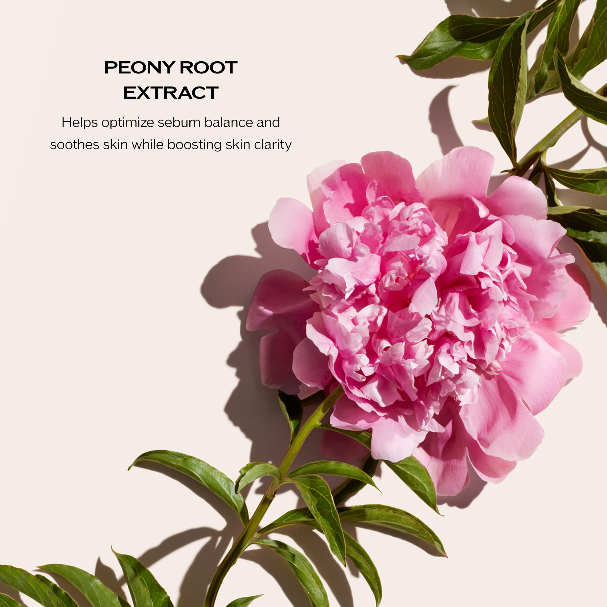 Shiseido Deep Cleansing Foam ingredients peony, rice germ oil and mineral water visuals