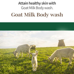 SHOWERMATE goat milk body wash pump bottle on shower shelf for quick daily use