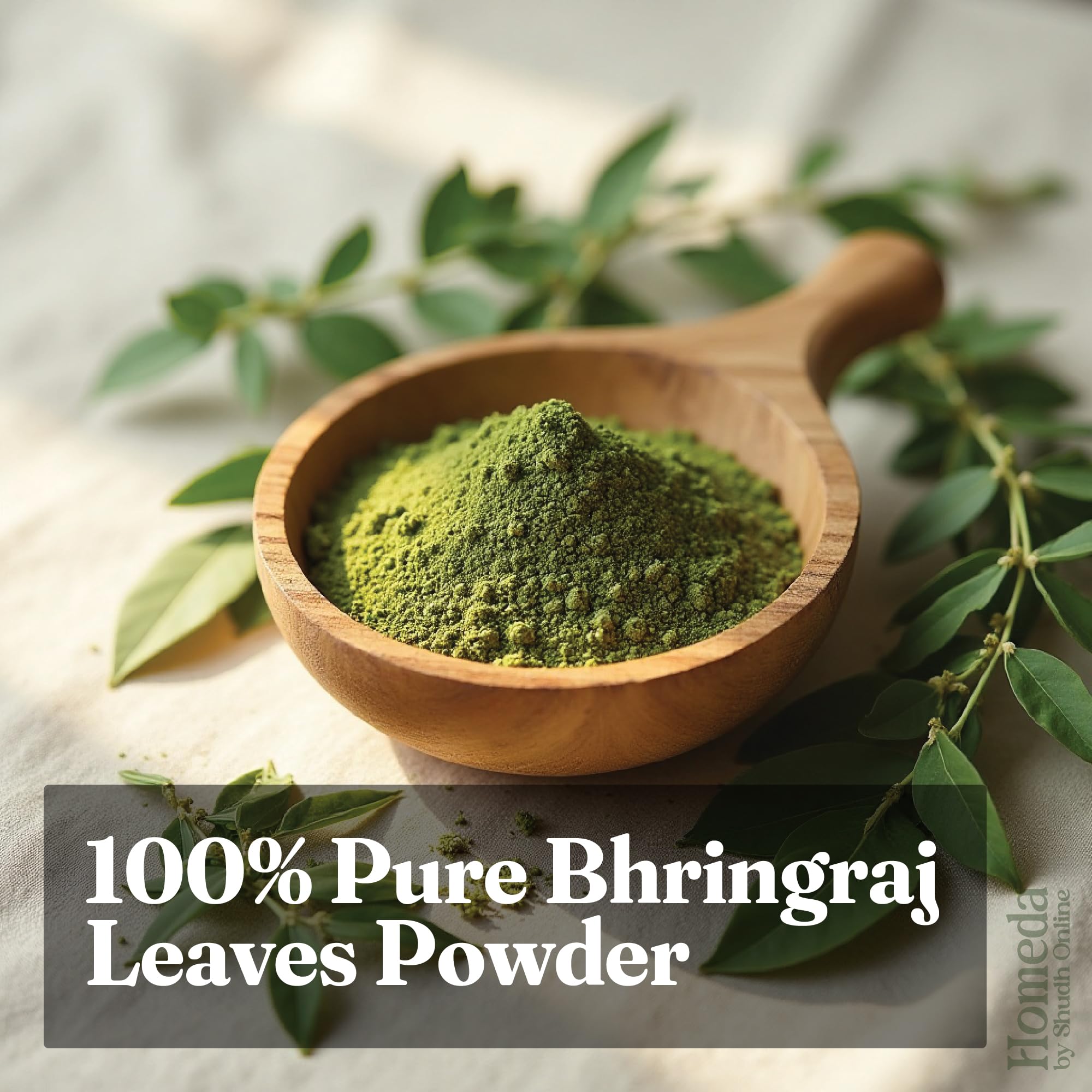 Shudh Online Eclipta Alba powder texture close-up highlights natural botanicals for hair care.