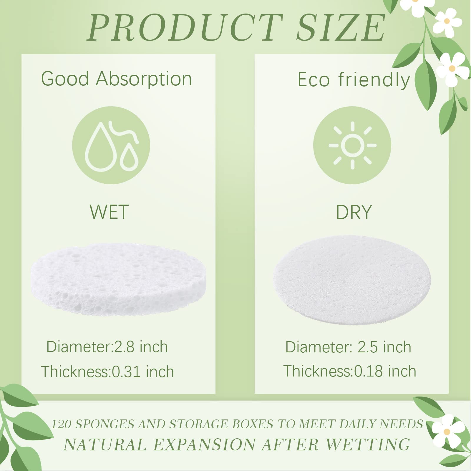 Sieral facial sponge demonstrates high water absorption for soft cleansing