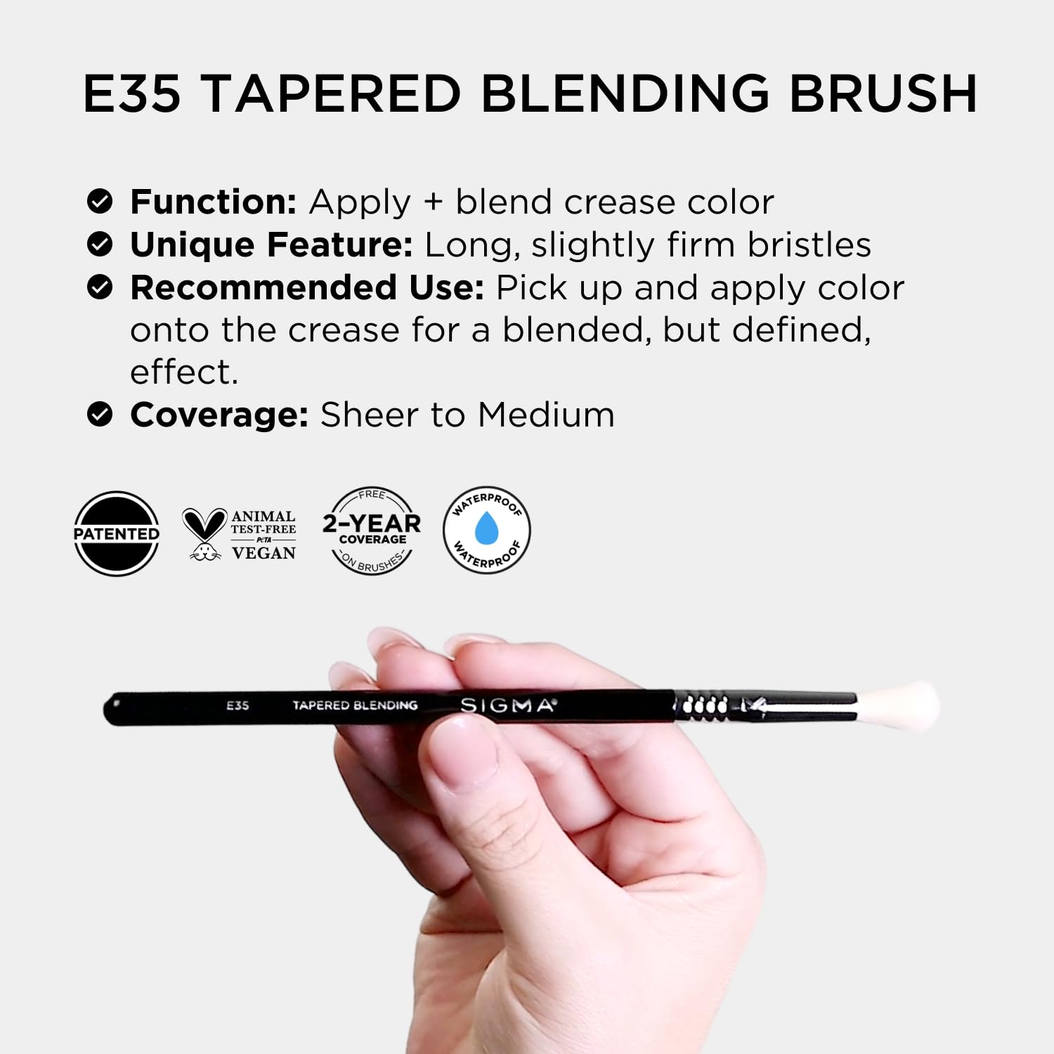 Sigma Beauty E35 transition shade blend close-up showing smooth, even application.