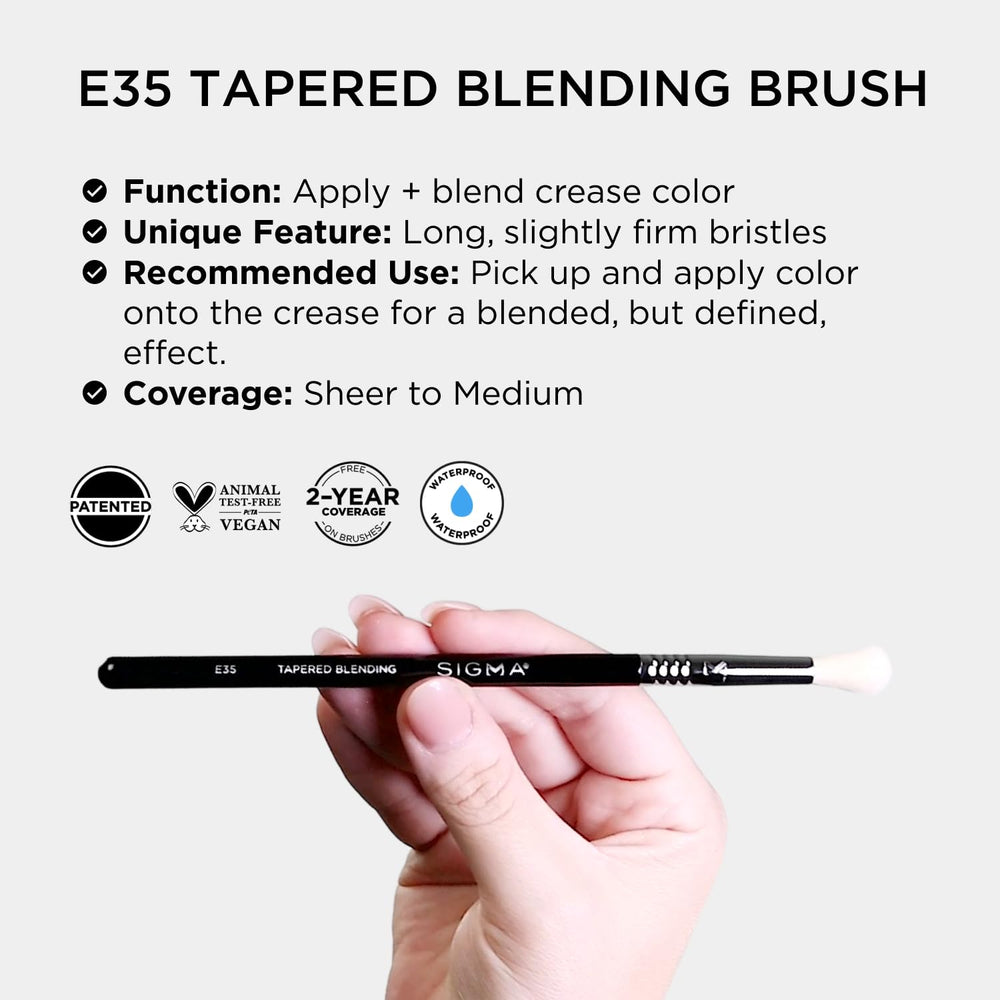 Sigma Beauty E35 transition shade blend close-up showing smooth, even application.