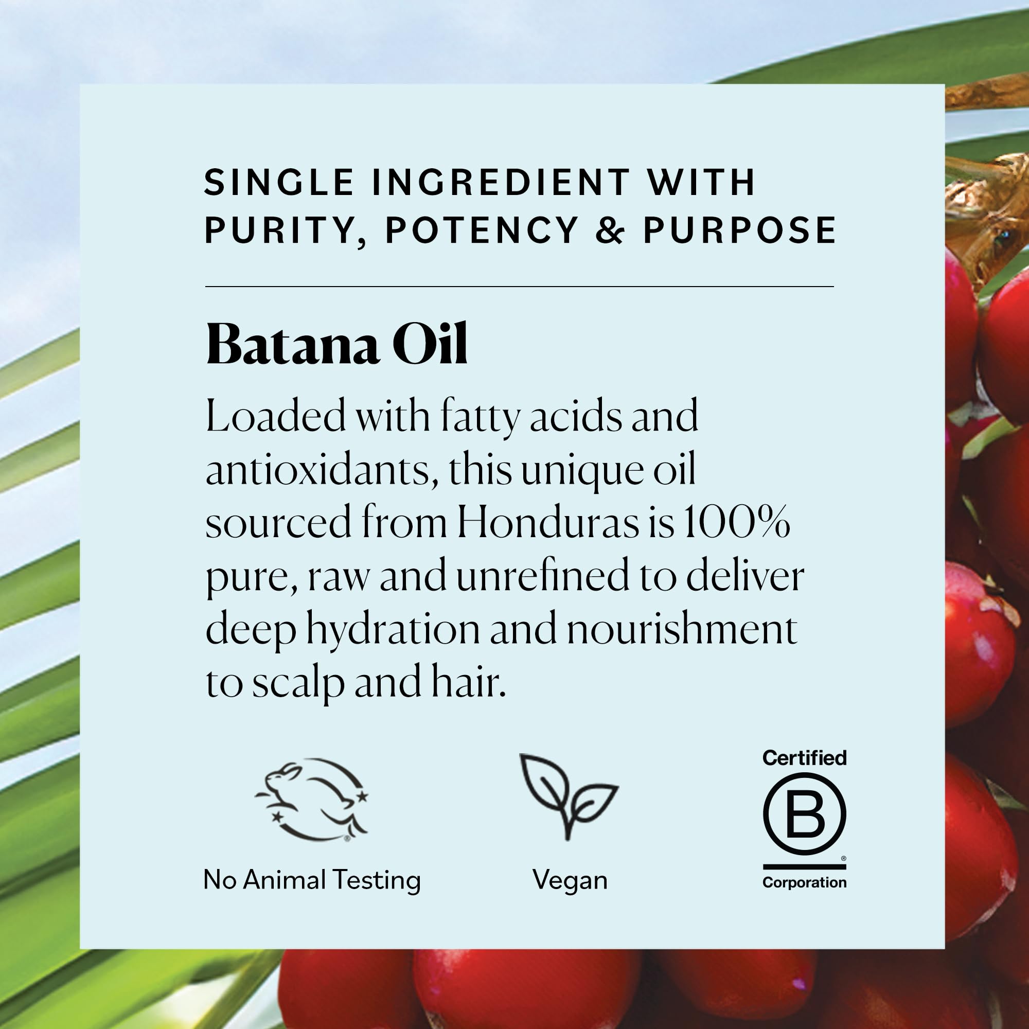 Sky Organics Batana Oil scalp massage application demonstrates easy warming treatment.