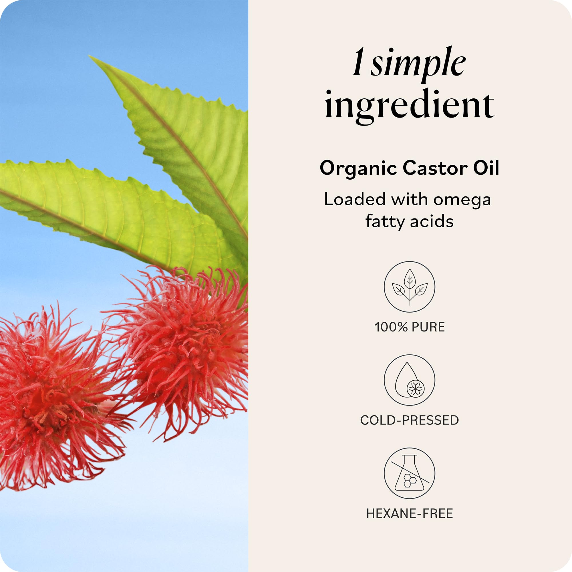 Sky Organics castor oil lashes brows application for conditioning and fuller-looking lashes
