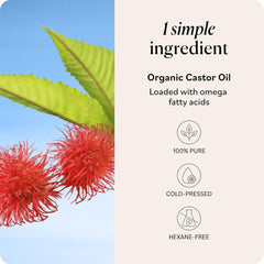 Sky Organics castor oil lashes brows application for conditioning and fuller-looking lashes